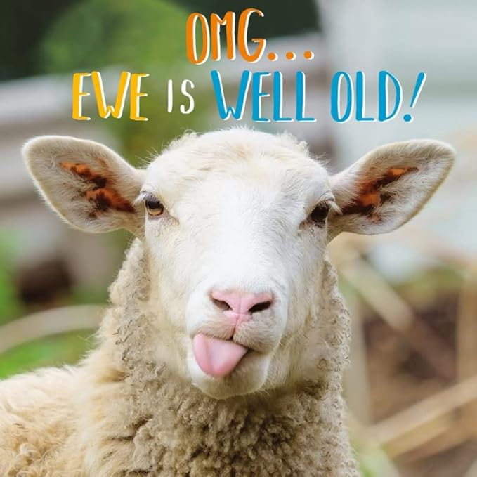 Abacus Cards General Male/Female Funny Birthday Card - Rude Ewe - Eco-Friendly & Recyclable