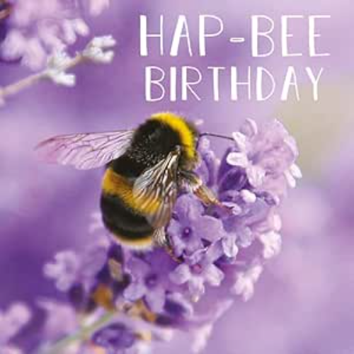 Abacus Cards HAP-BEE BIRTHDAY Birthday Card Rapture Range