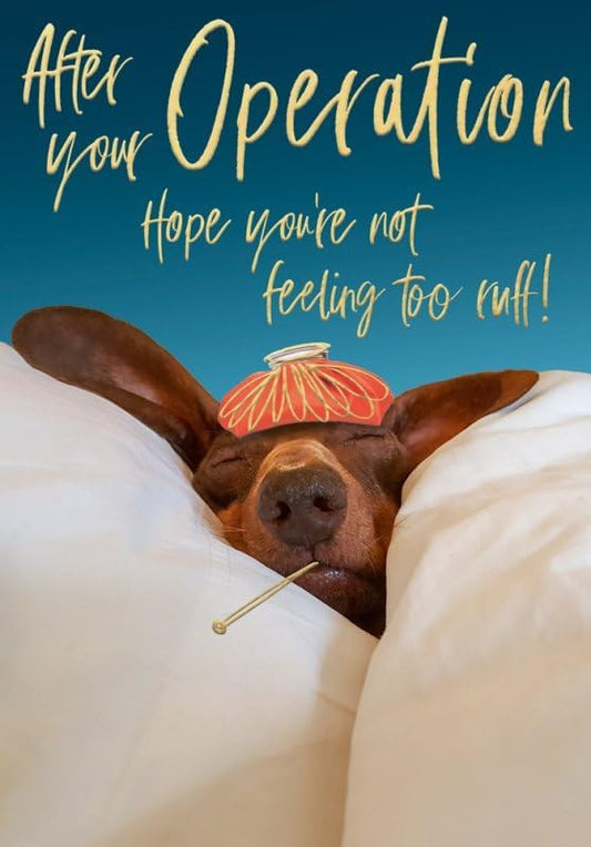 This After Your Operation Get Well Card - Dog Humour is a Greeting & Note Cards priced at £ 3.35 from Made To Be Treasured range. Produced by Abacus for excellent quality