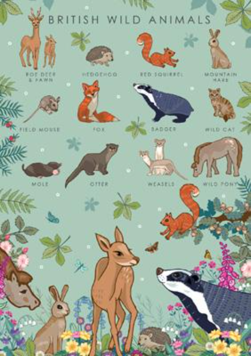 This British Wild Animals - Blank Greeting Card - Artist Designed in UK is a Greeting Card priced at £ 3.49 from Made To Be Treasured range. Produced by Art Eco for excellent quality