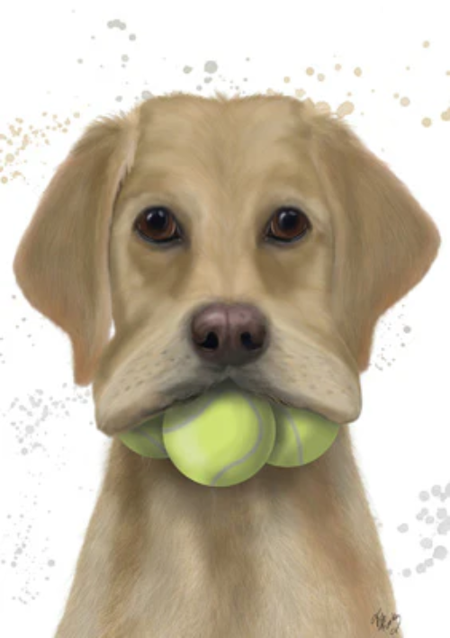 This Adorable Labrador Retriever Dog With Balls Art Blank Greeting Card is a Greeting Card priced at £ 2.99 from Made To Be Treasured range. Produced by Art Eco for excellent quality