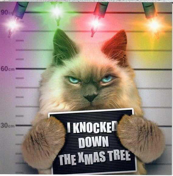 Funny Cat Christmas Card – I Knocked Down the Xmas Tree Greeting & Note Cards Emotional Rescue Made To Be Treasured