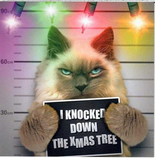 Funny Cat Christmas Card – I Knocked Down the Xmas Tree Greeting & Note Cards Emotional Rescue Made To Be Treasured