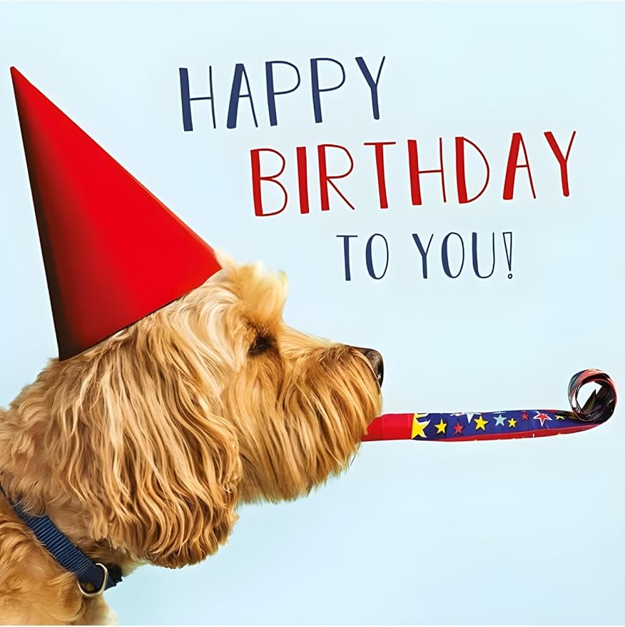 Abacus Cards Funny Open Happy Birthday Greeting Card from The Rapture Range Birthday Dog