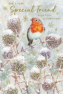 Special Friend Christmas Card – Robin & Thistle Design Greeting Card Nigel Quinney Made To Be Treasured