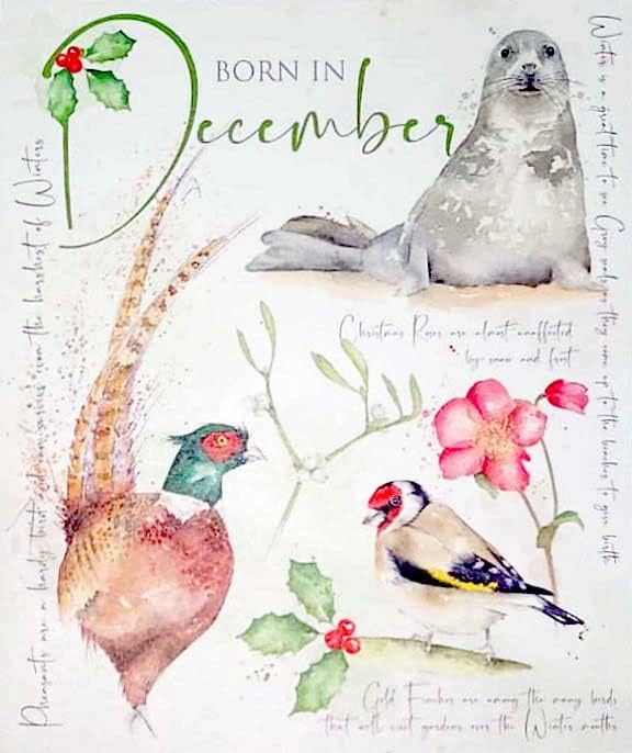 Born In December Open Birthday Card  - Nature's Diary