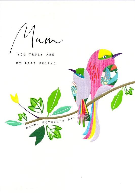 This Mothers Day Greeting Card - Mum - Birds - Free Postage is a priced at £ 1.99 from Made To Be Treasured range. Produced by Made To Be Treasured for excellent quality