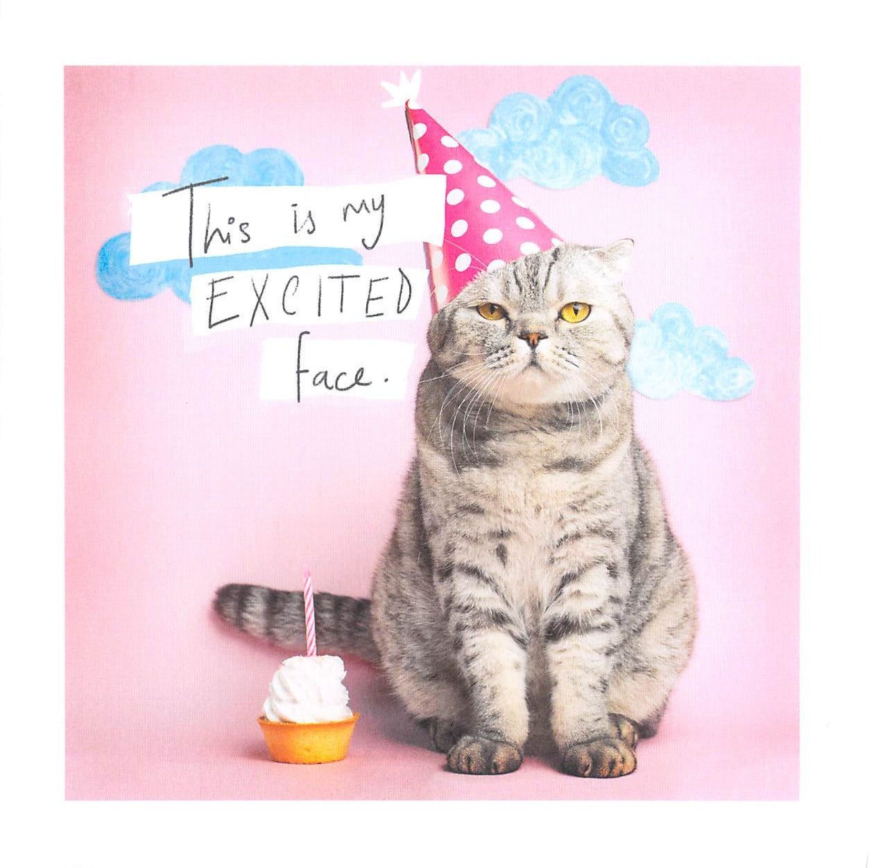 This Humor Birthday Card - Excited Cat - Greeting Card is a priced at £ 2.75 from Made To Be Treasured range. Produced by Hallmark for excellent quality