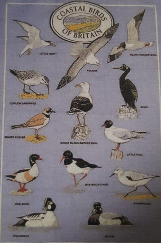 This Tea Towel - Birds Of Prey - Perfect Gift is a Greeting Card priced at £ 8.00 from Made To Be Treasured range. Produced by Unbranded for excellent quality