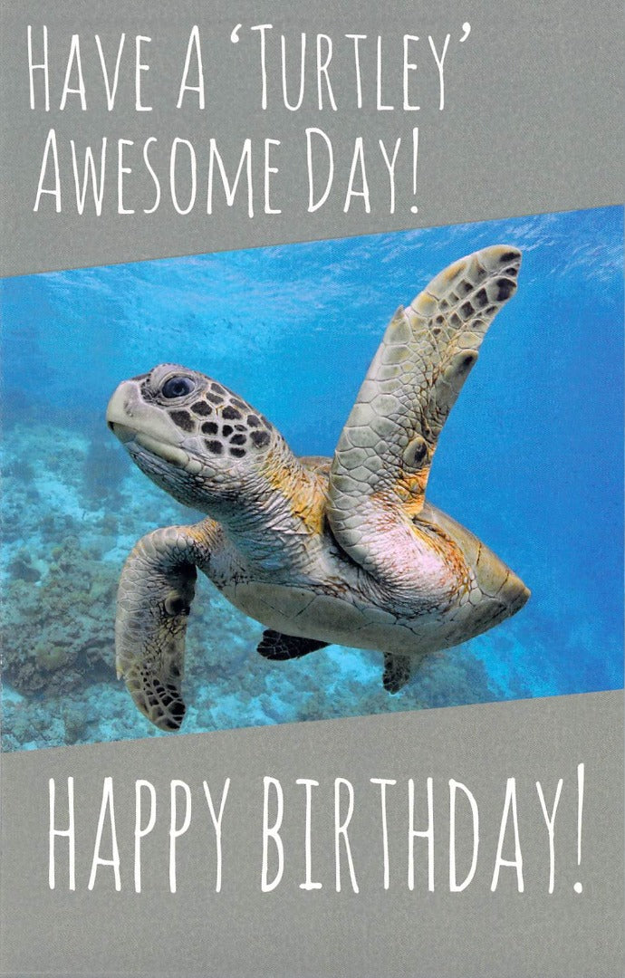 Birthday - Greeting Card - Card