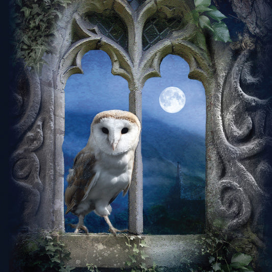 This Artist Blank Greeting Card - Owl - Suitable for any occasion is a Greeting Card priced at £ 3.99 from Made To Be Treasured range. Produced by Heart Of Garden for excellent quality