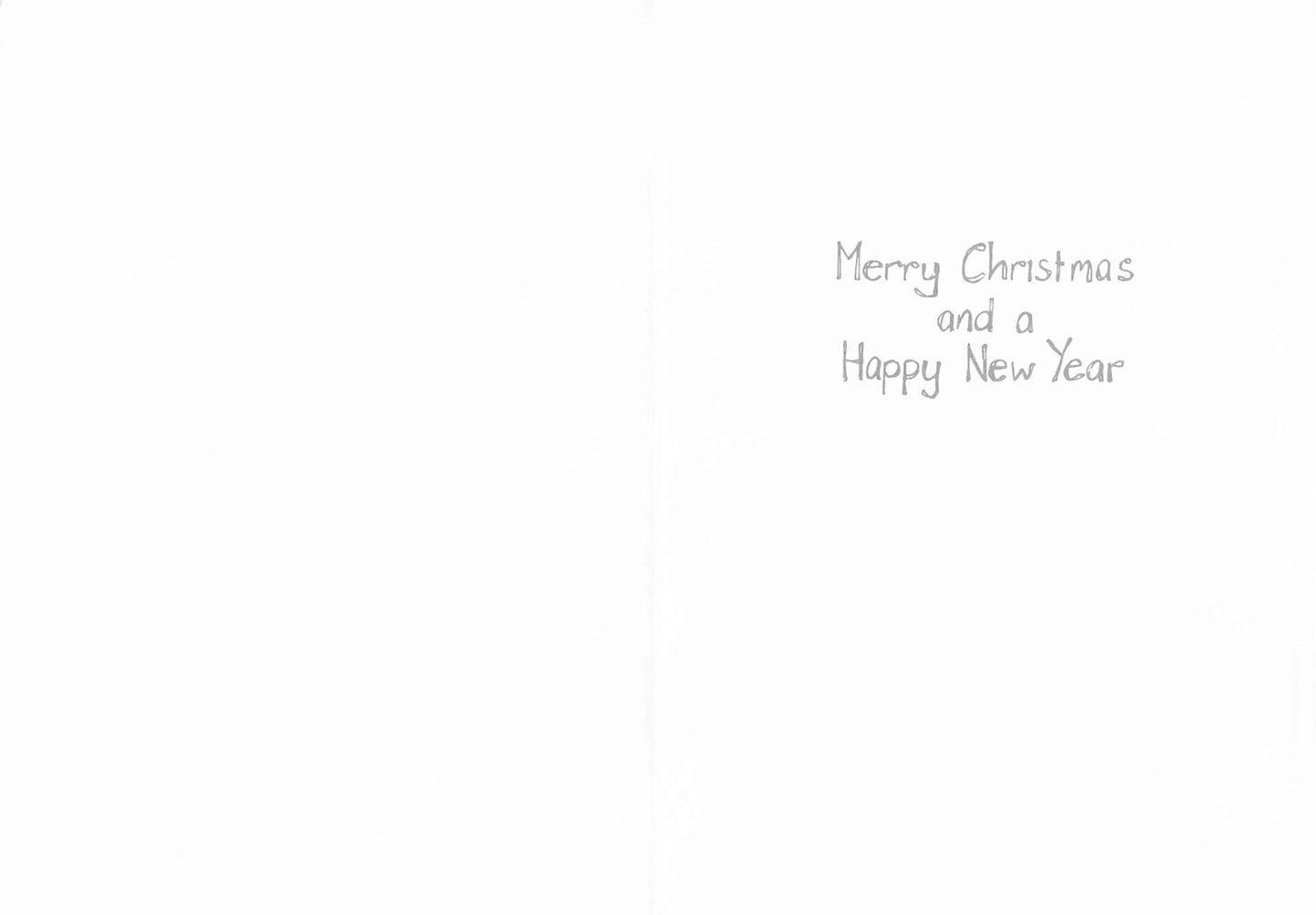 Humour - Christmas - Greeting Card