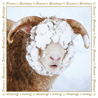 This Christmas - Greeting Card - Snow sheep is a Greeting Card priced at £ 6.49 from Made To Be Treasured range. Produced by Heart Of Garden for excellent quality