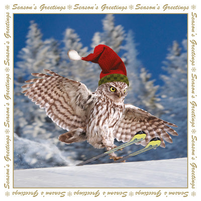 Christmas - Greeting Card - Skiing Owl