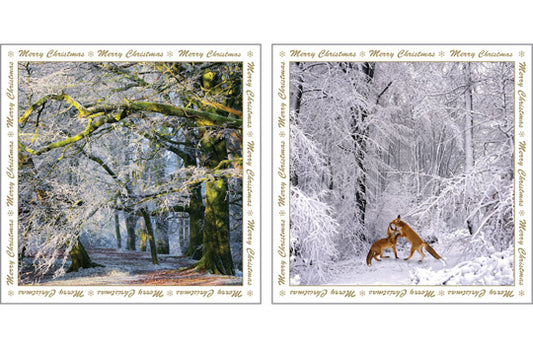 This Christmas Greeting Cards - Fox - Multi Pack of Six is a Greeting Card priced at £ 5.99 from Made To Be Treasured range. Produced by Heart Of Garden for excellent quality