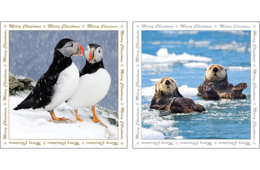 This Christmas Greeting Cards - Puffin - Multi Pack Of Six is a Greeting Card priced at £ 5.99 from Made To Be Treasured range. Produced by Heart Of Garden for excellent quality