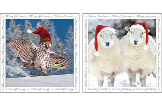 This Christmas Greeting Cards - Owl - Multi Pack Of Six is a Greeting Card priced at £ 5.99 from Made To Be Treasured range. Produced by Heart Of Garden for excellent quality