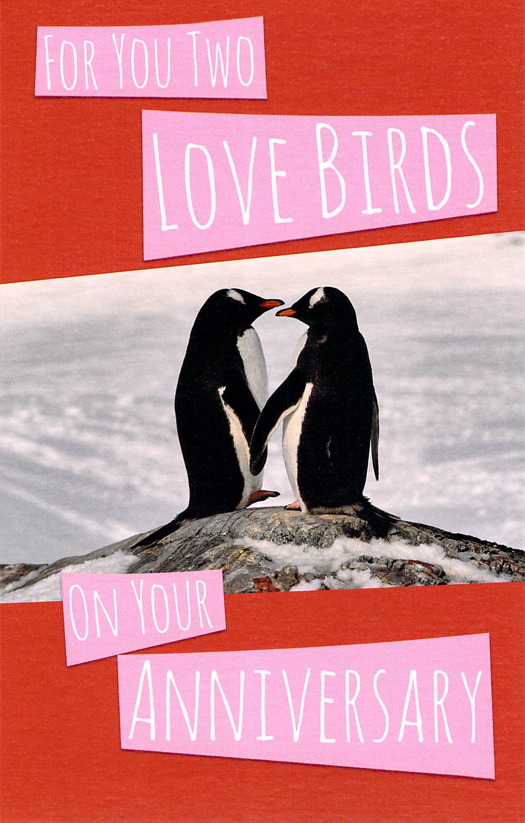 Anniversary - Love Birds - Greeting Card - Multi Buy Discount