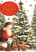 Load image into Gallery viewer, Son In Law - Christmas Card - Multi Buy - Free Postage
