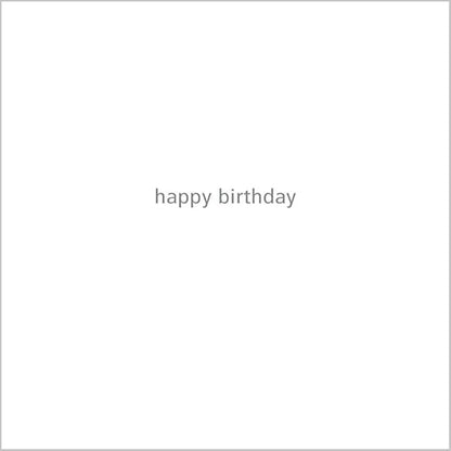 Abacus Cards LAUGHING CHEETAH Funny Birthday Card Animal Humour