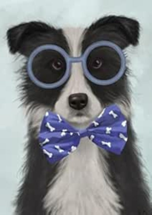 Collie with Specs Greeting Card, 120 x 170mm, Blank Inside, Artist Designed, UK