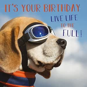 Live Life To The Full - Abacus - Dog Humour Card