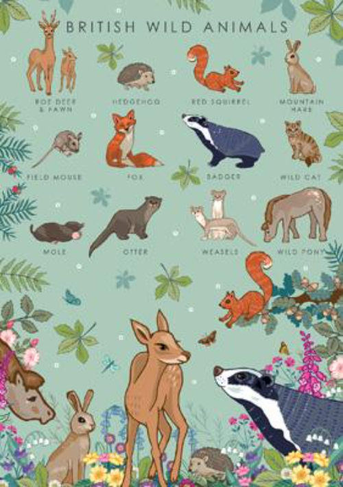 British Wild Animals - Blank Greeting Card - Artist Designed in UK