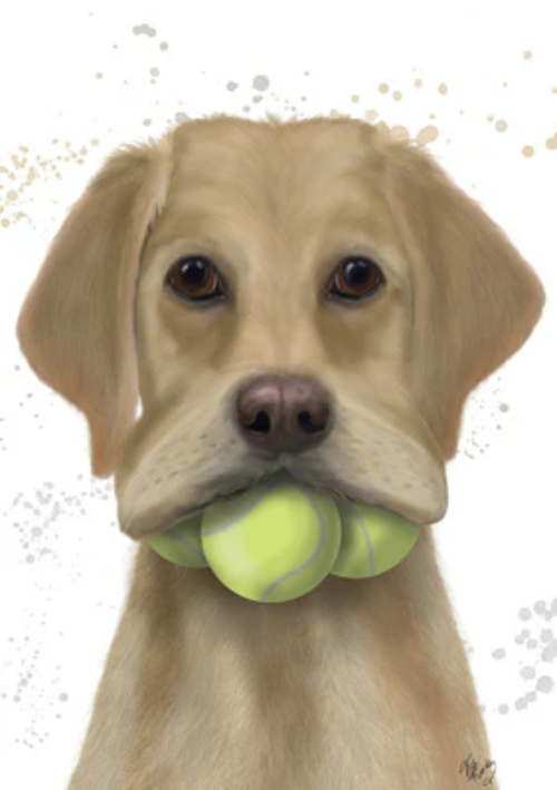 Adorable Labrador Retriever Dog With Balls Art Blank Greeting Card