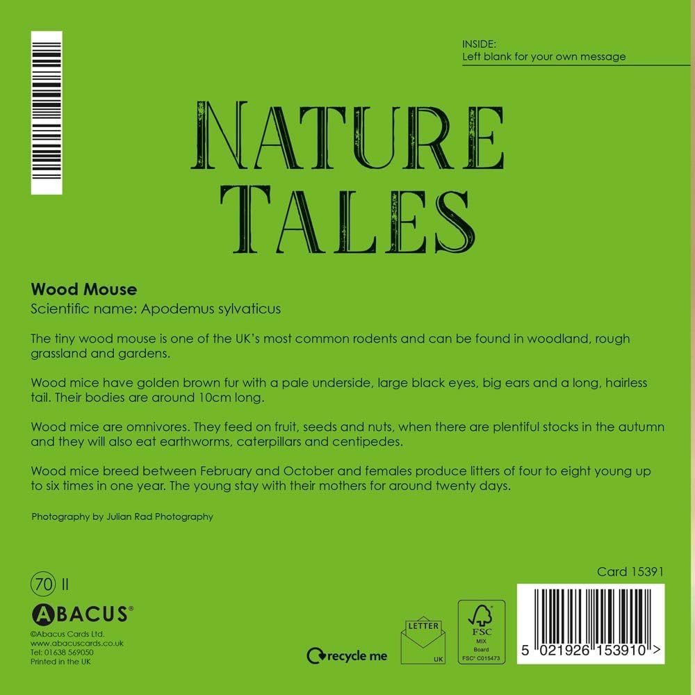Abacus Wood Mouse Blank Greeting Card | Nature Tales Wildlife Card