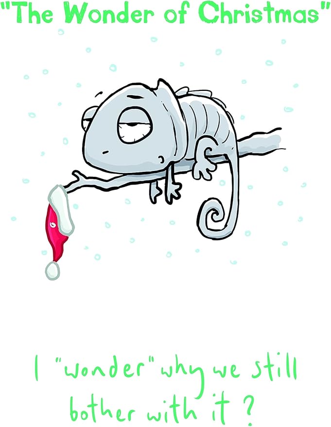 Leon the Chameleon 'The Wonder of Christmas' Humour Card 5 x 9 ins