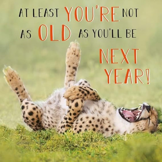 Abacus Cards LAUGHING CHEETAH Funny Birthday Card Animal Humour