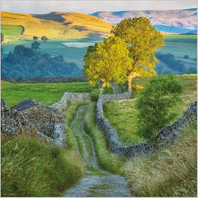 Load image into Gallery viewer, Abacus blank/birthday card Yorkshire Dales Narrow Countryside Lane from the BBC Countryfile Range
