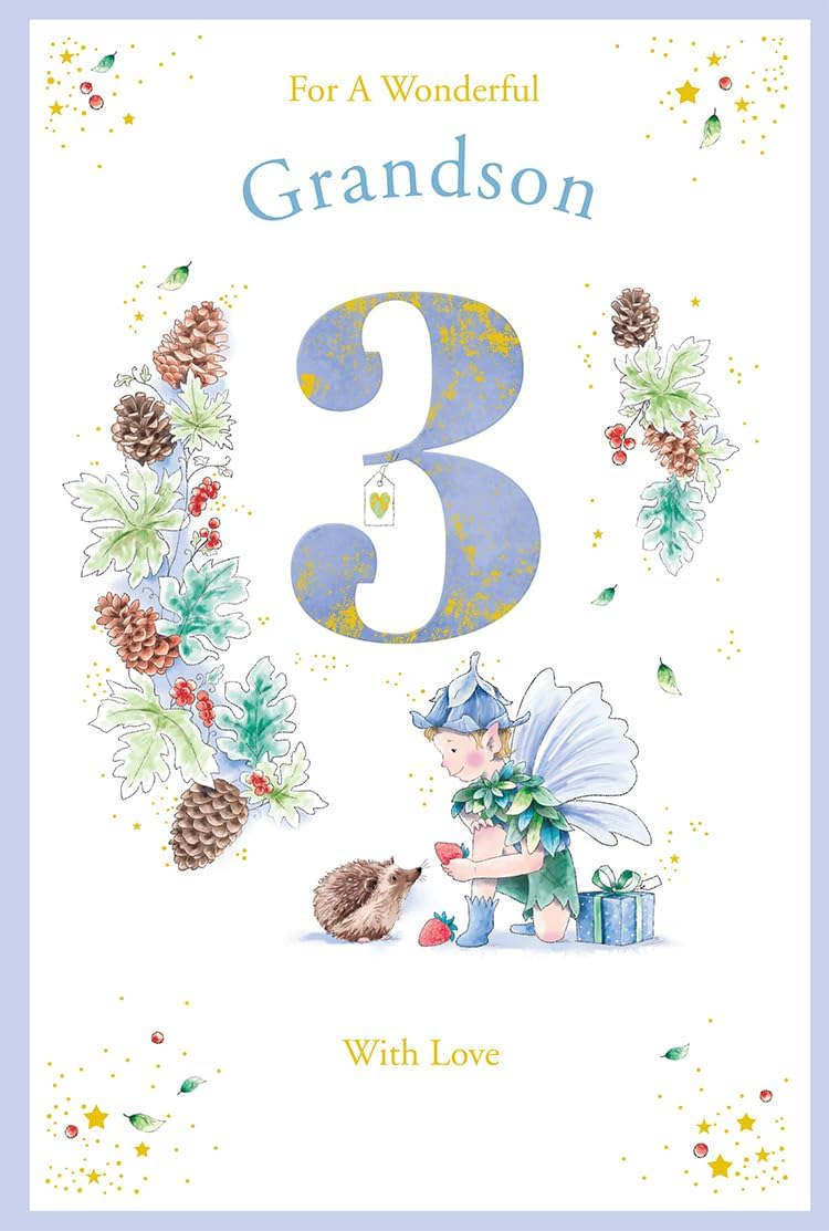 Kingfisher grandson age 3 birthday card front with blue number three, fairy and hedgehog