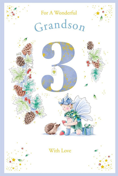 Kingfisher grandson age 3 birthday card front with blue number three, fairy and hedgehog