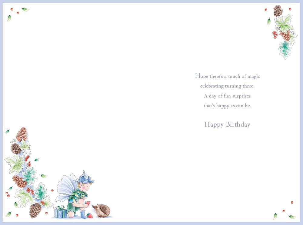 Inside of Kingfisher grandson third birthday card with printed birthday verse