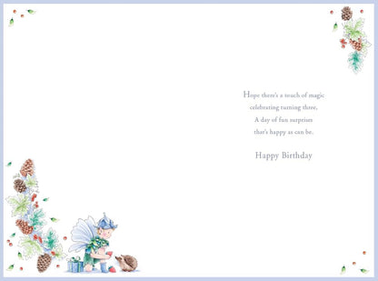 Inside of Kingfisher grandson third birthday card with printed birthday verse