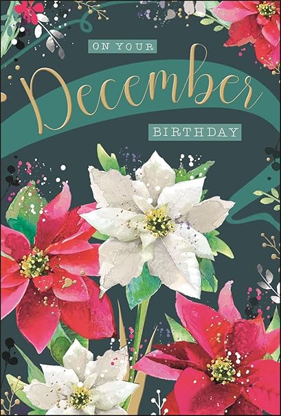 This Jonny Javelin December Birthday Card - Poinsettia Flowers Female Birthday Card with Embossed Foil Finish is a Greeting Card priced at £ 3.49 from Made To Be Treasured range. Produced by Jonny Javelin for excellent quality