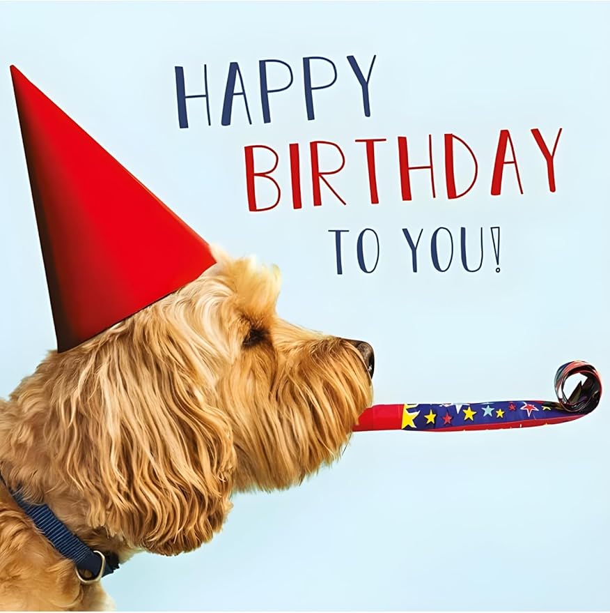 Abacus Cards Funny Open Happy Birthday Greeting Card  from The Rapture Range Birthday Dog