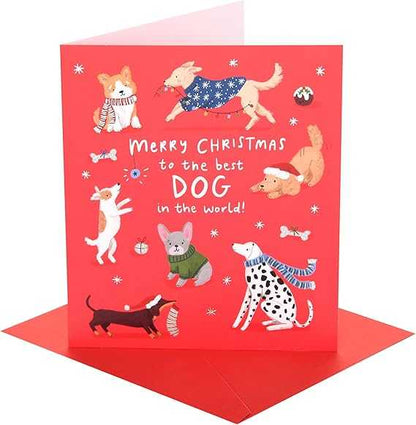 For Dog Christmas Card – Festive Woofy Wishes Christmas Cards UK Greetings Made To Be Treasured