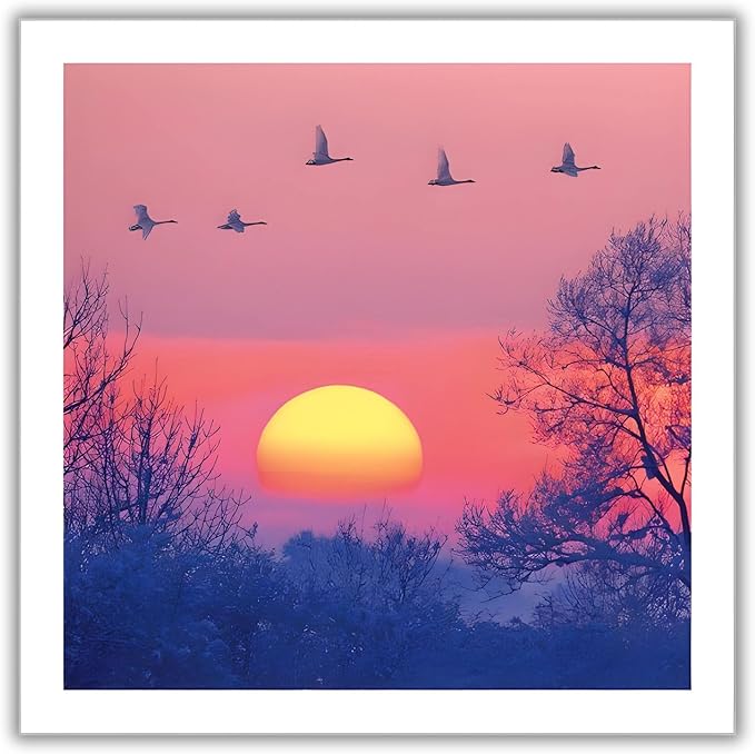 Birthday/Blank Greeting Card Swans Fly at Dusk Design BBC Wild Isles