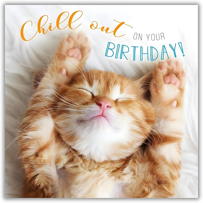 Abacus Cards General Funny Card 'Chill Out' Sleeping Kitten