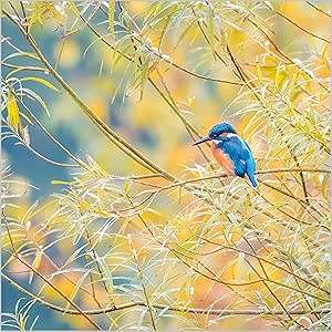 This Blank Nature Greeting Card – Kingfisher on Branch – Abacus is a Greeting Card priced at £ 3.49 from Made To Be Treasured range. Produced by Abacus for excellent quality