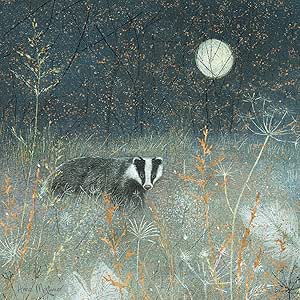 Quayside Cards Enchanted Wildlife Card - Badger