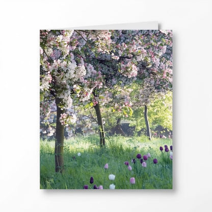 BBC Gardeners' World Crab Apples & Tulips Blank Greeting Card | Abacus Cards