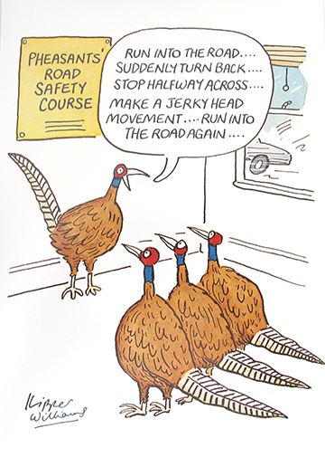 Funny Pheasants Road Safety Birthday Card - Humour Cartoon Greeting Card