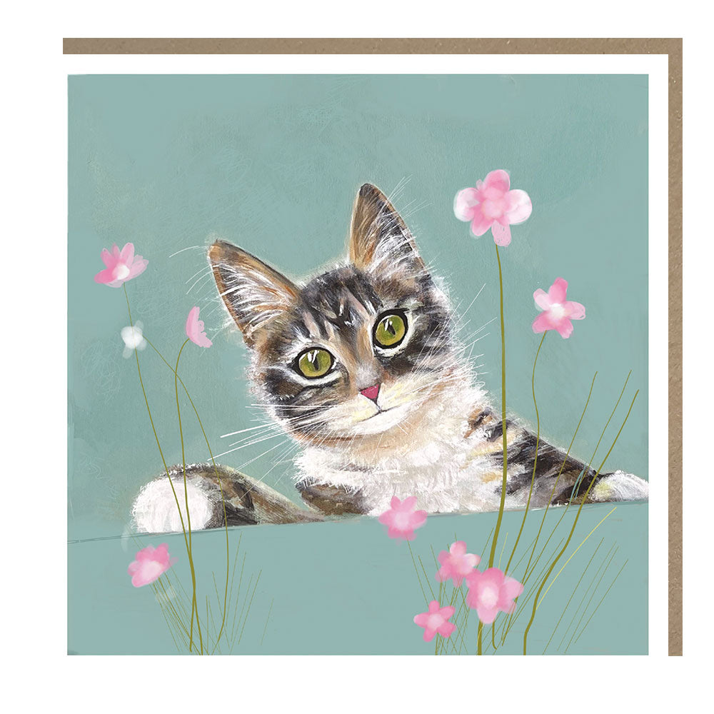 Cute Cat Blank Greeting Card – Tracks Pankhurst Gallery PH088