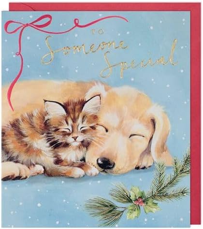 Paperlink Someone Special Christmas card with cuddling kitten and sleeping puppy, gold lettering and red envelope