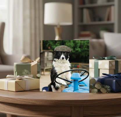 Border Collie on Tractor Blank Greeting Card | Abacus Cards