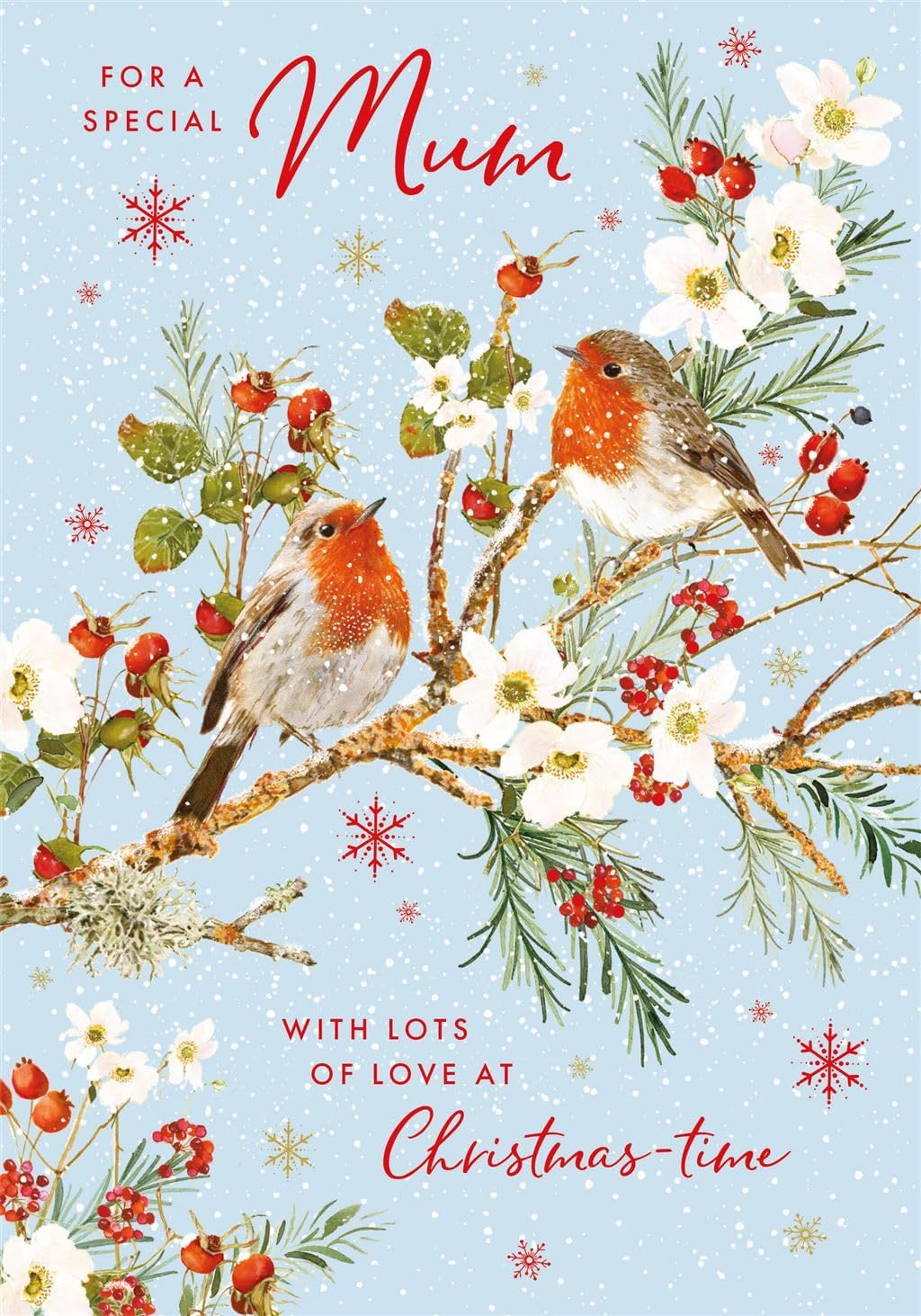 Special Mum Nigel Quiney Christmas card front with two robins and winter flowers