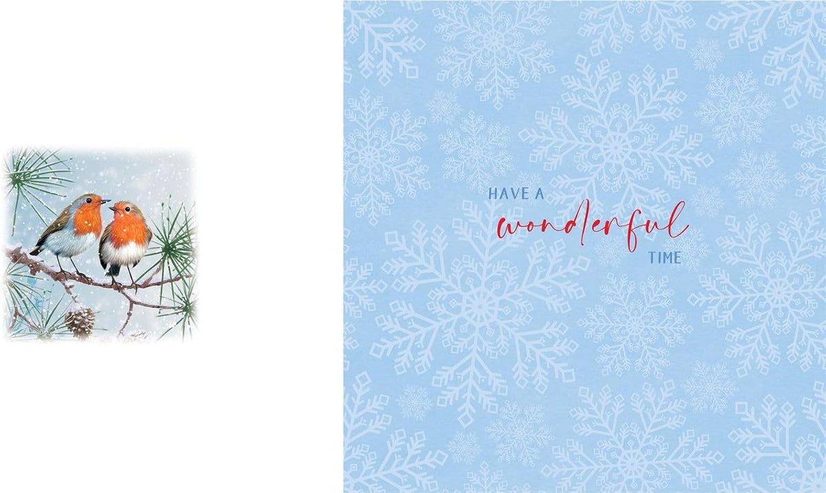 Inside of robin Christmas card with blue snowflake design and Have a wonderful time greeting